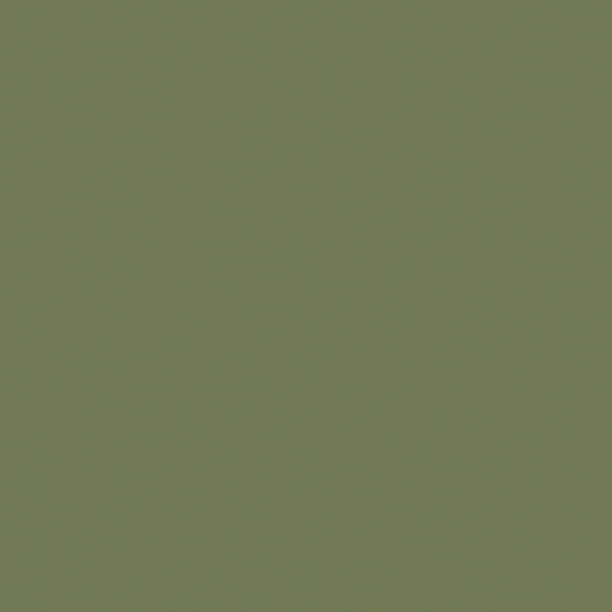 G5295 Warrior Collector