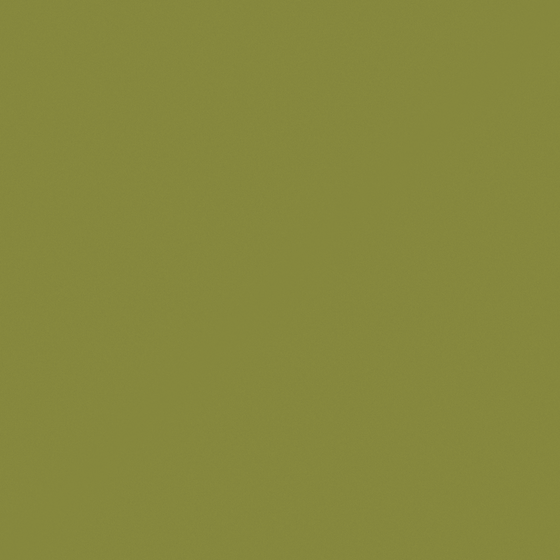 G5349 Pickle Cucumber