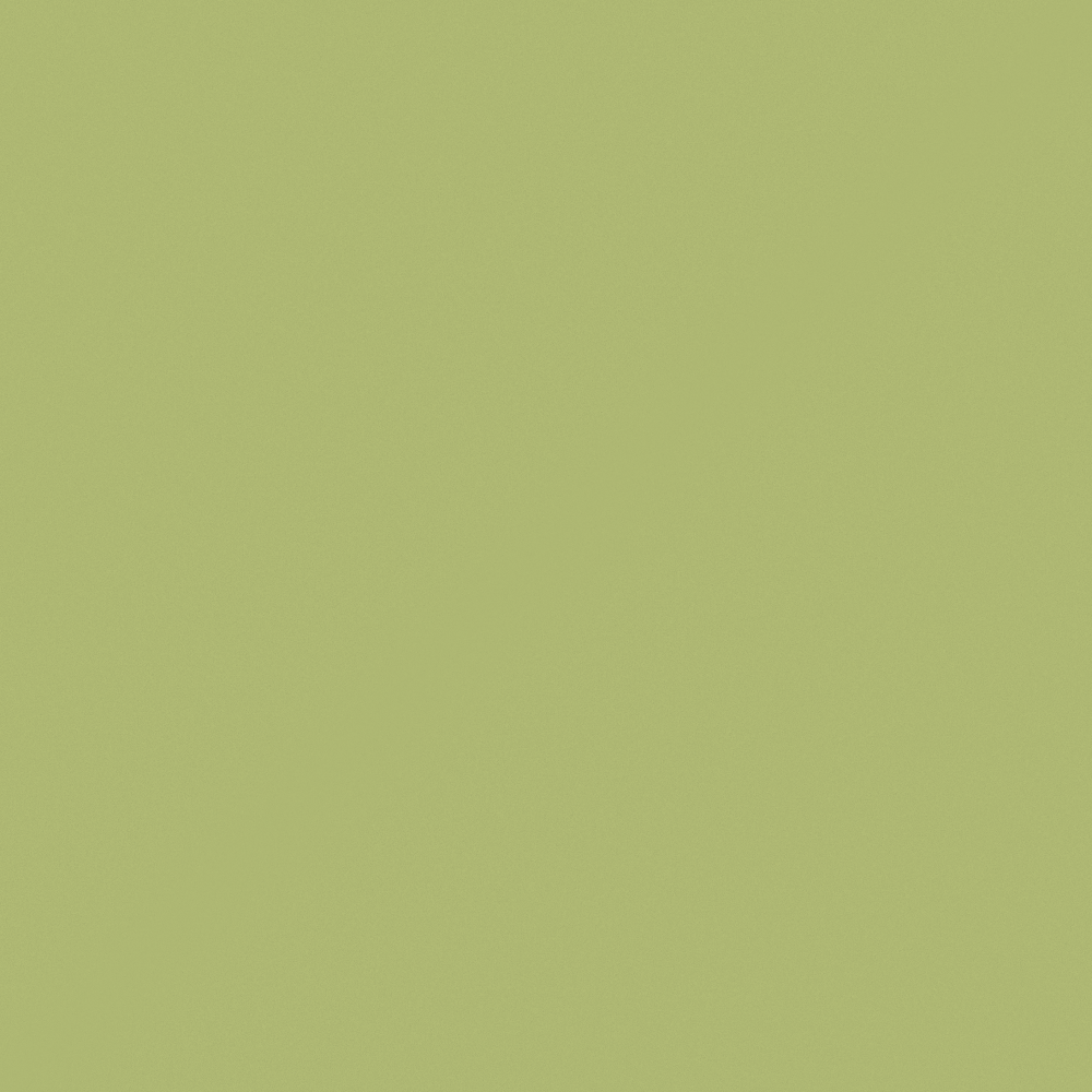 G5321 Leaves in Rain