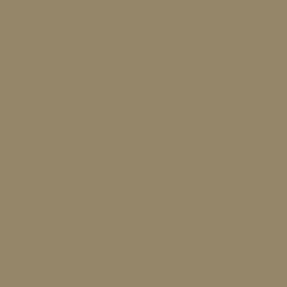 N6014 Earthy Ochre