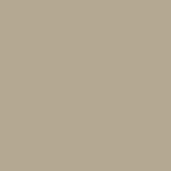 N6008 Shaker Beige