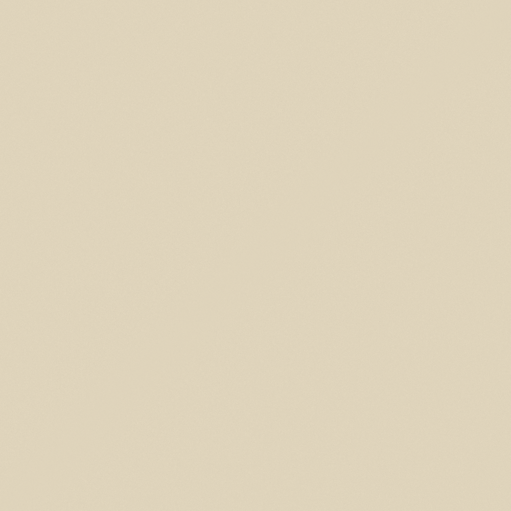 N6005 Creamy Beige
