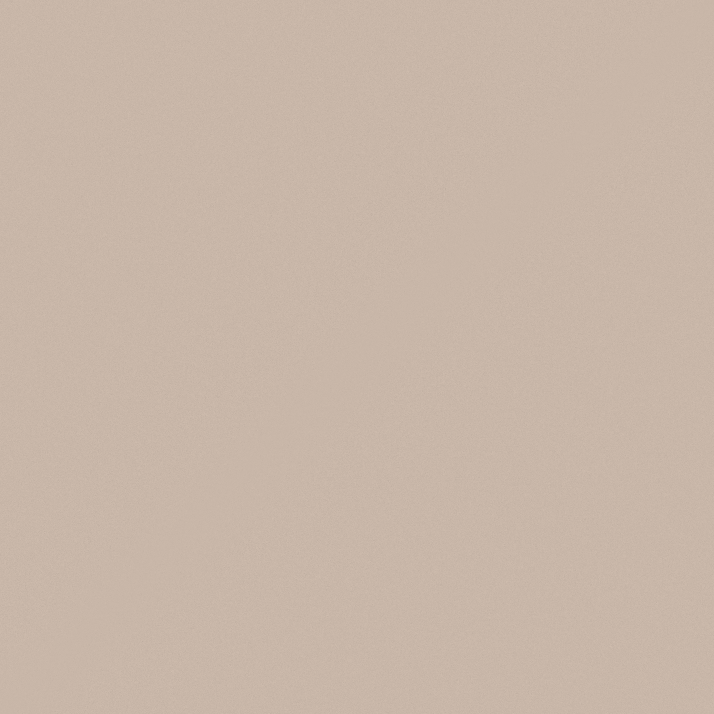 N6118 Barley Beige