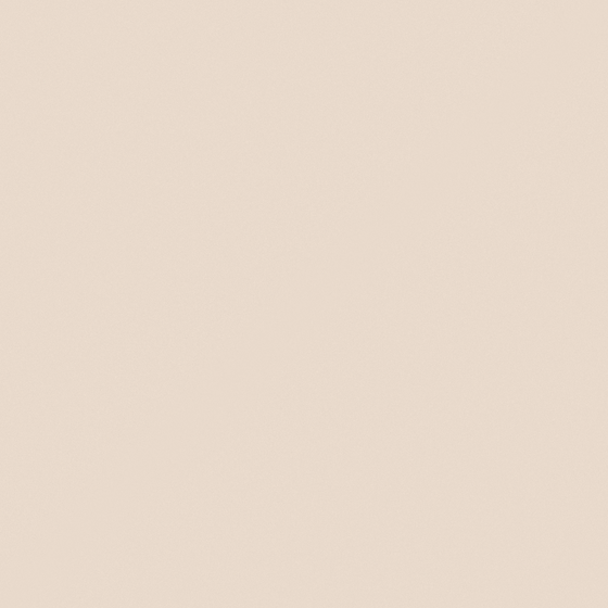 N6095 Vanilla Macaron