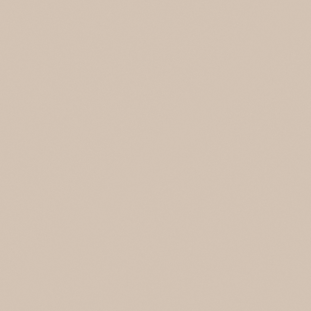 N6101 Beige Tan