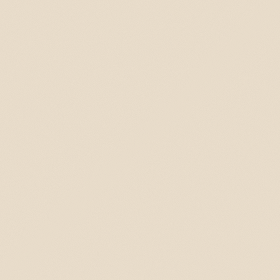 N6036 Vanilla Corianders