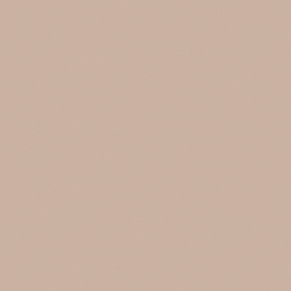 N6130 Hazelnut Beige
