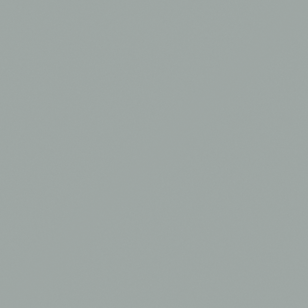 N6291 Ocean Tradewinds