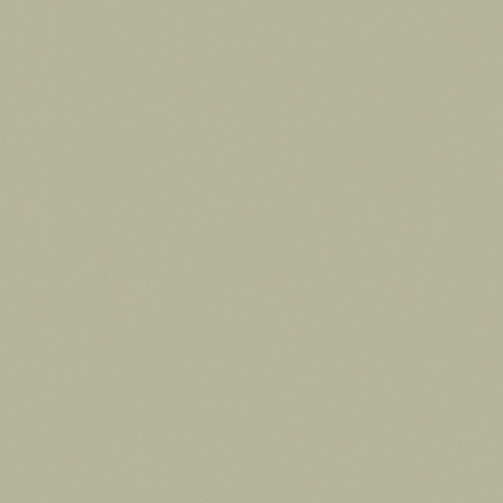 N6340 Light Olive