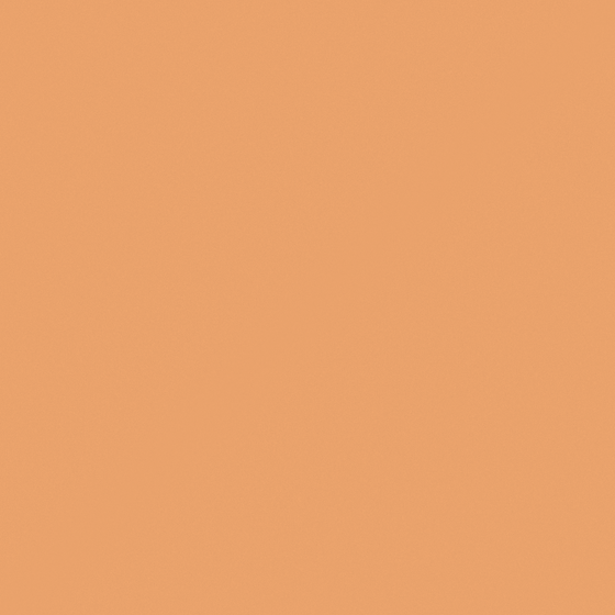 O1034 Trendy Tangerine