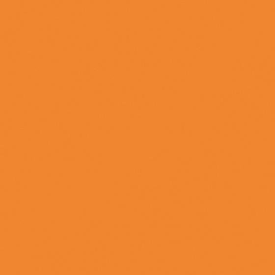 O1025 Neon Tangerine