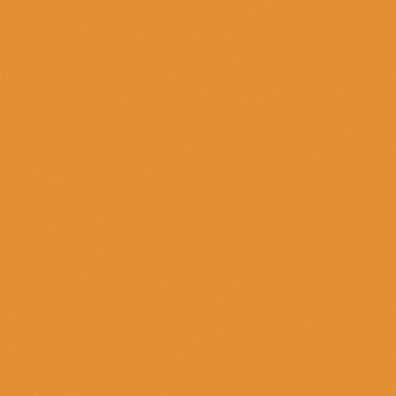O1008 Bright Tangerine
