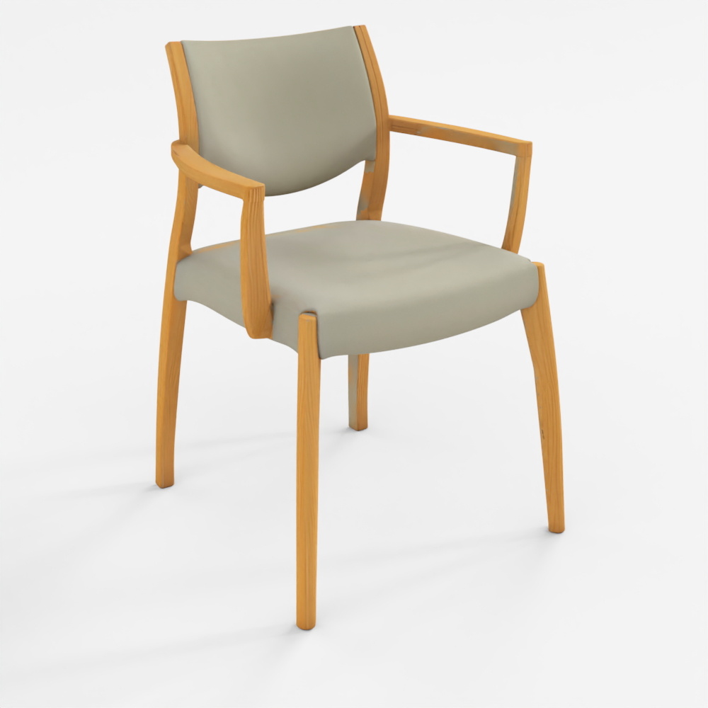 Dining Chair