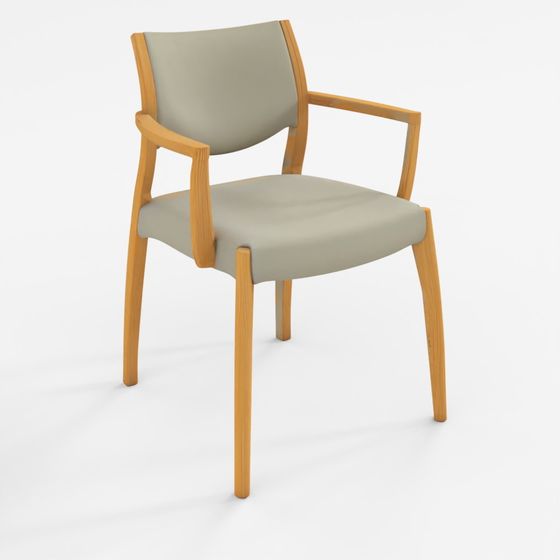 Dining Chair