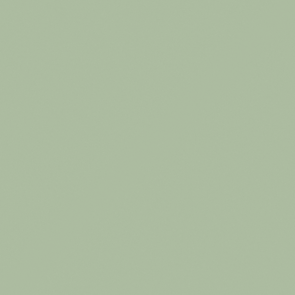 Dulux Pale Sage