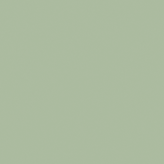 Dulux Pale Sage