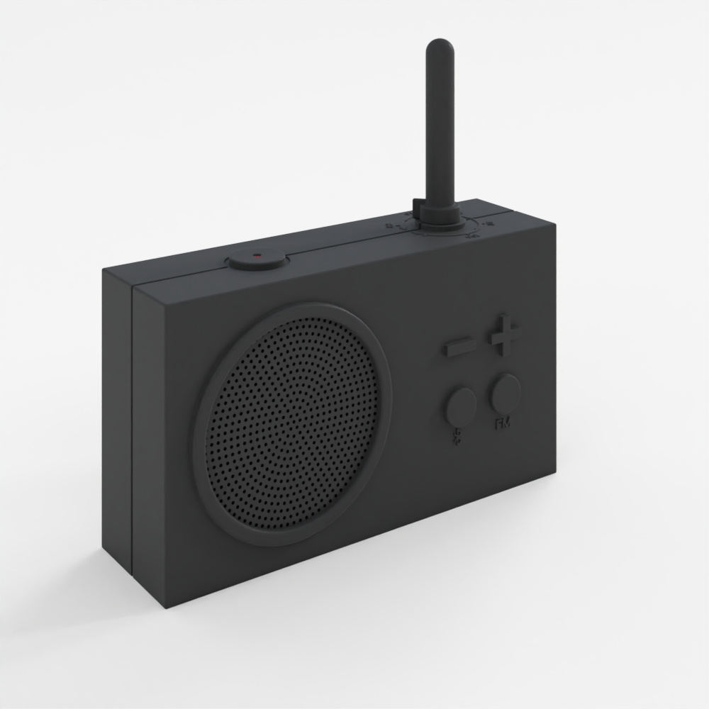FM Radio Bluetooth Speaker