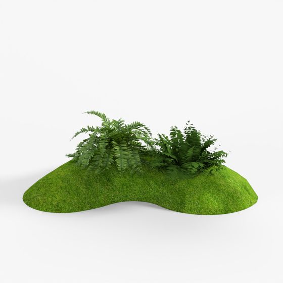 Lush Green Grass Ferns 3D model