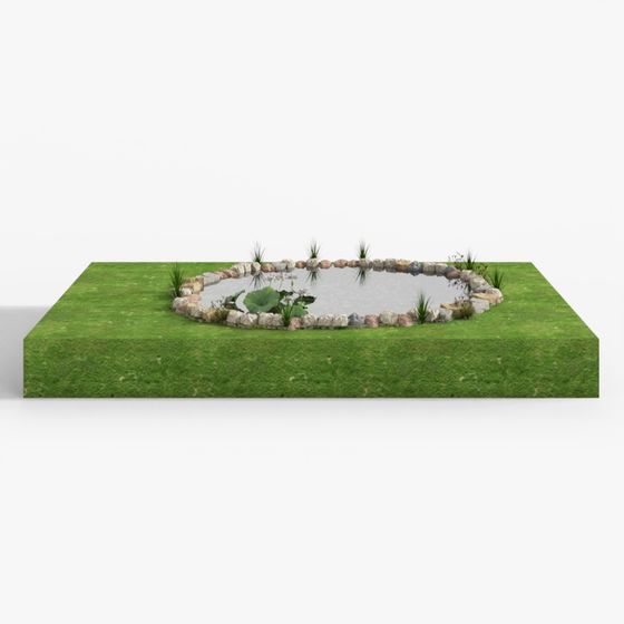 Garden Pond 3D Model