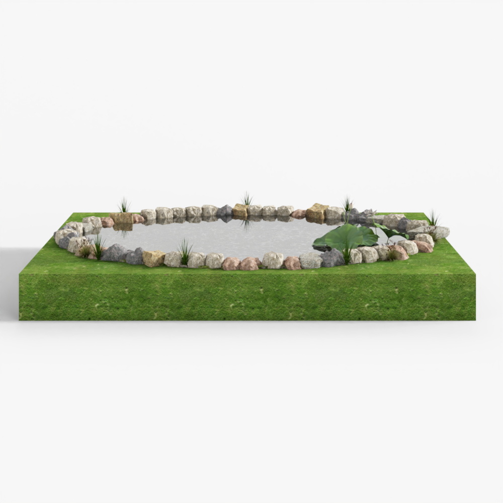 Natural Pond 3D model