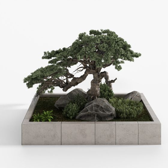 Tranquil Bonsai 3D model