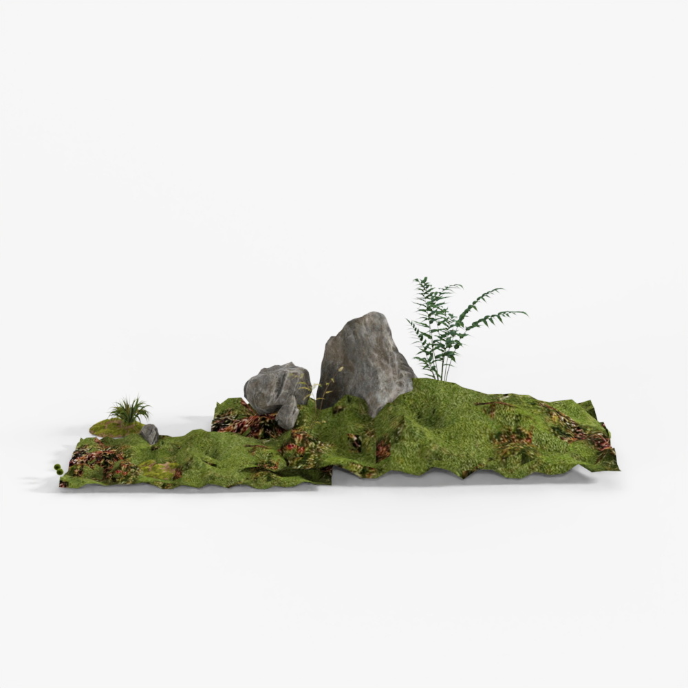 Modern plant landscape sketch