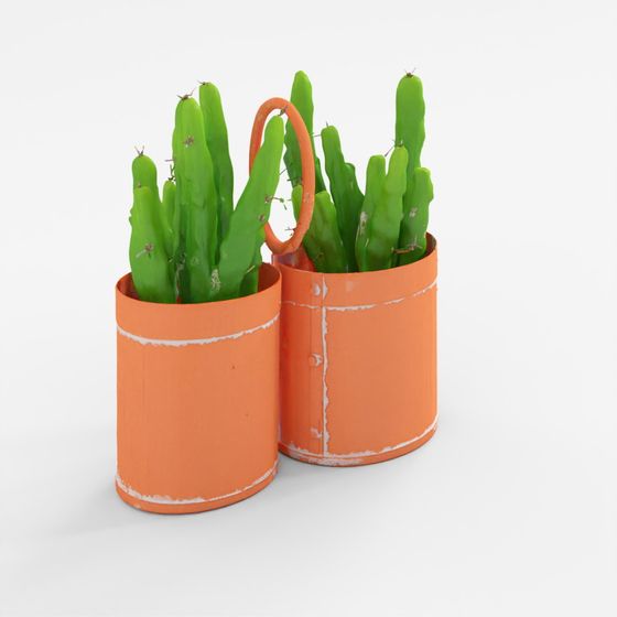 LX 2 Way Iron Bottle Carrier.001