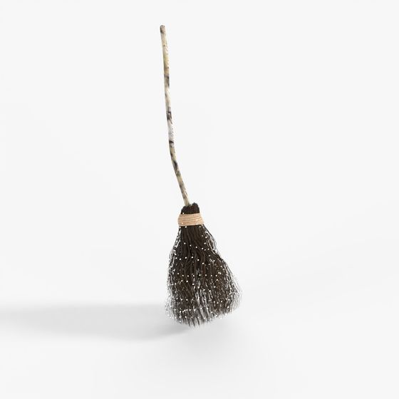 Magic Broom
