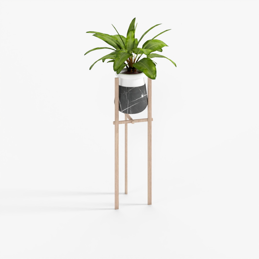 Plant Pot