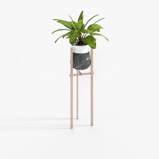 Plant Pot