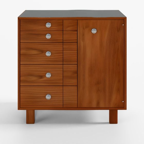 Nelson Basic Cabinet Series - 5-Drawer with Door