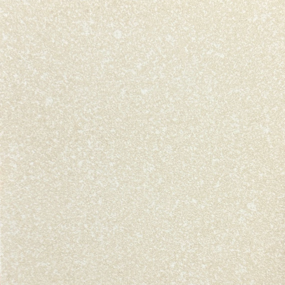 Lian Seng Hin ZS6088R10/60