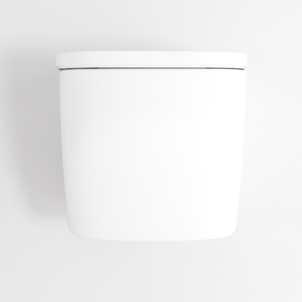 ORLANDO Rimless Wall-mounted Toilet Without Rim, Volle 13-35-373