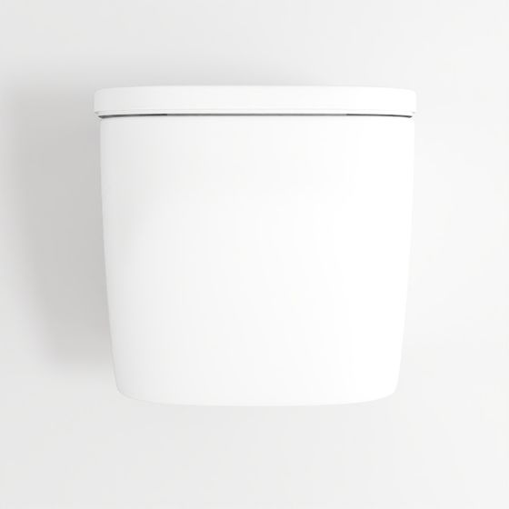 ORLANDO Rimless Wall-mounted Toilet Without Rim, Volle 13-35-373