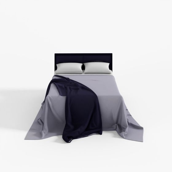 Unknown Bed 2 3D Model