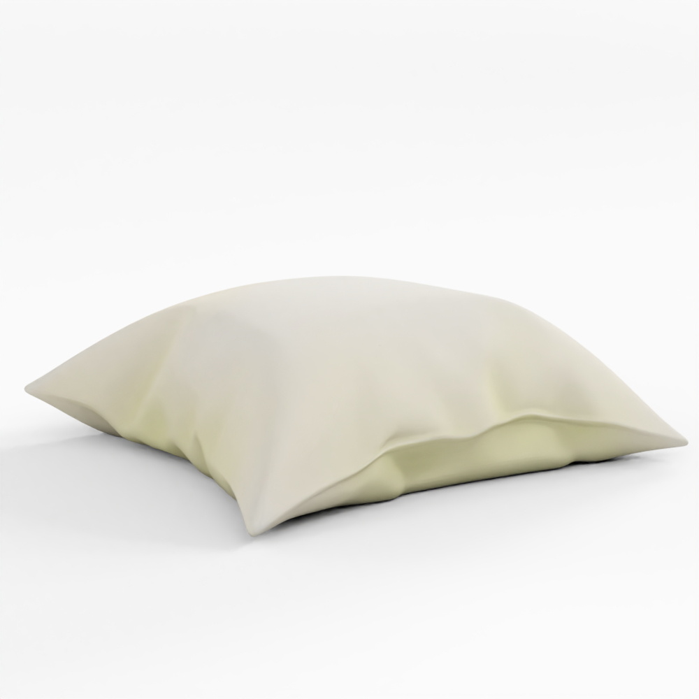 3D Asset Fabric Pillow