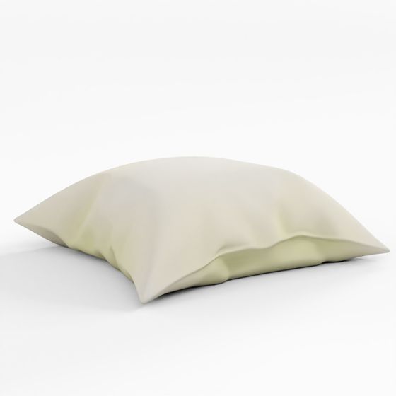 3D Asset Fabric Pillow