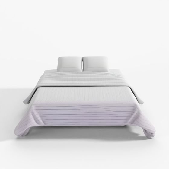 3D Model Frayed Edge Stripe Quilt King White