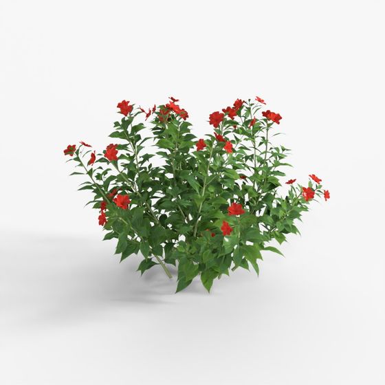 3D Tree Impatiens walleriana 01