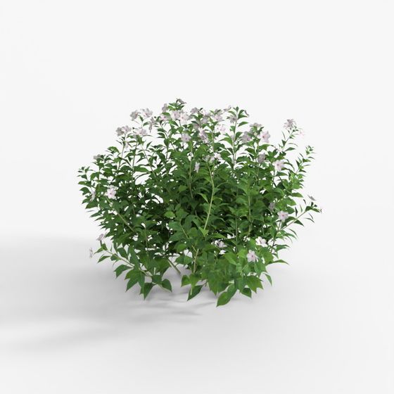 3D Tree Impatiens walleriana 02