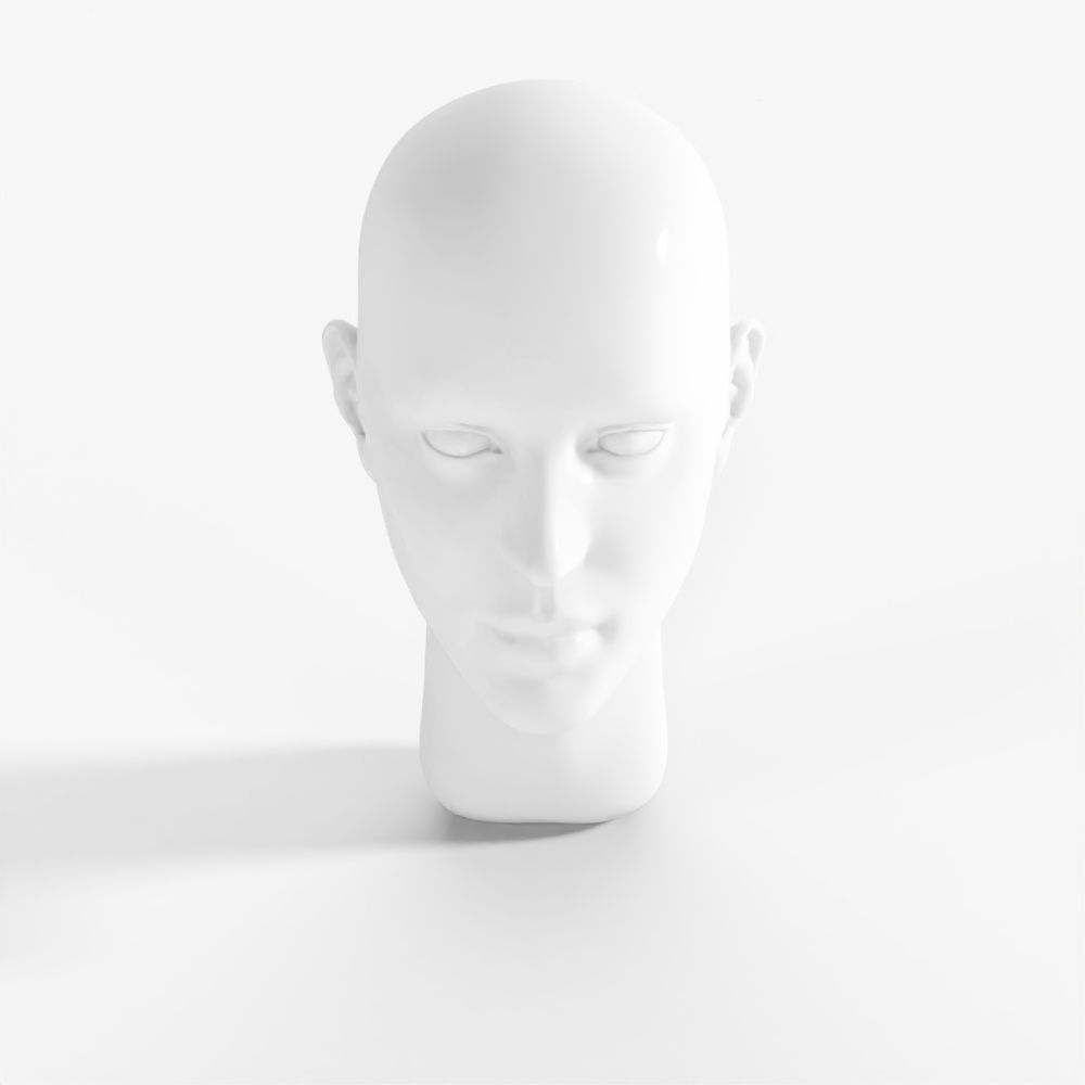 Head+Mannequin