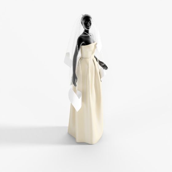 Wedding Dress with Veil-2