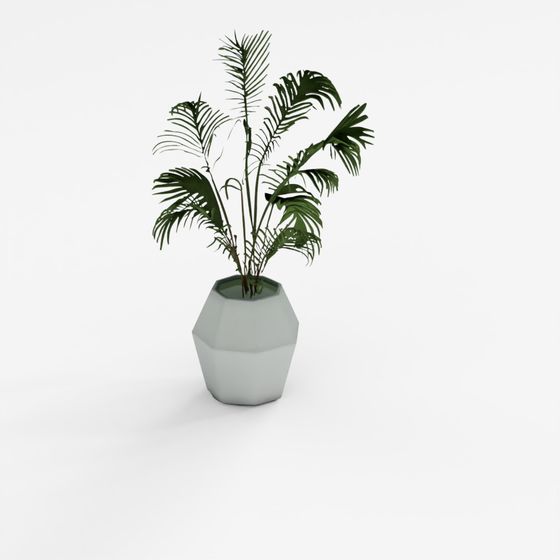 Palm Plant 3D Model