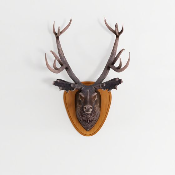Decor Deer Head With Antlers