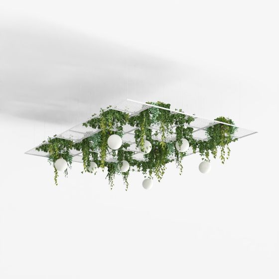 Tree - Compa Academy