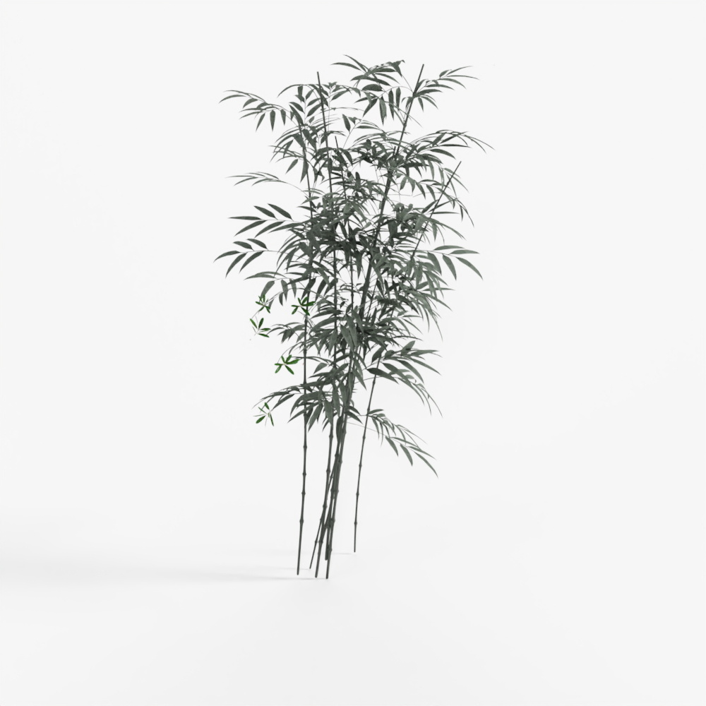 bamboo