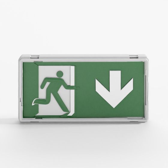 Emergency Exit Sign